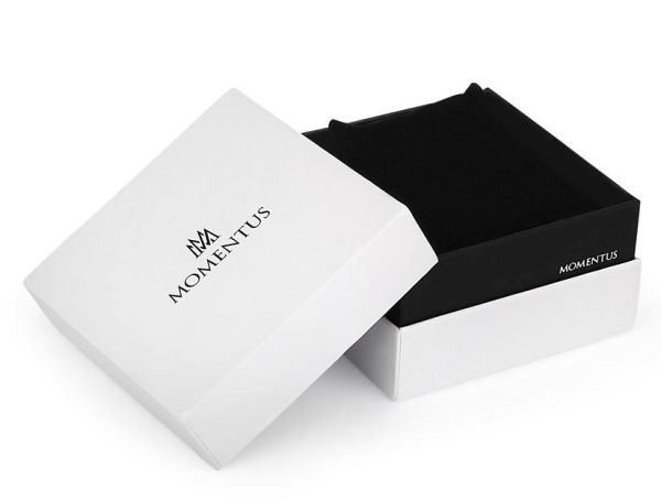 Momentus TM250S-04SS Erkek Kol Saati