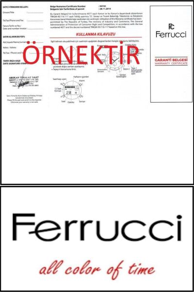 Ferrucci FC.13351H.07 Erkek Hasır Kol Saati