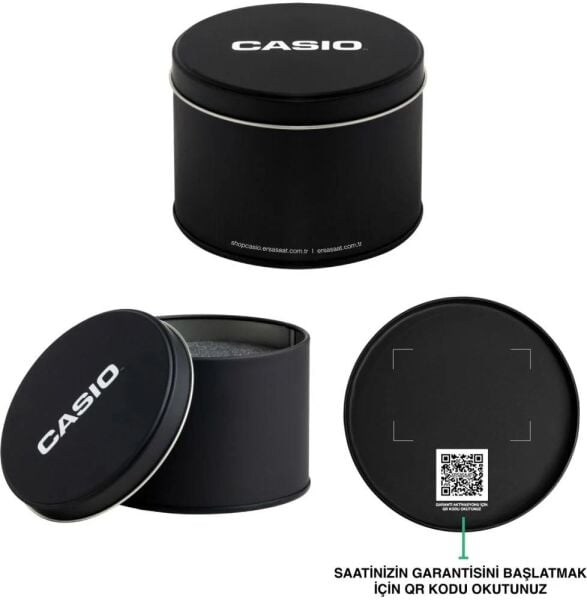 Casio LTP-V006GL-9BUDF Kadın Kol Saati