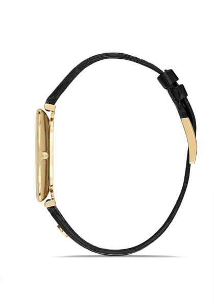 Hislon CL179G-02KG Erkek Kol Saati