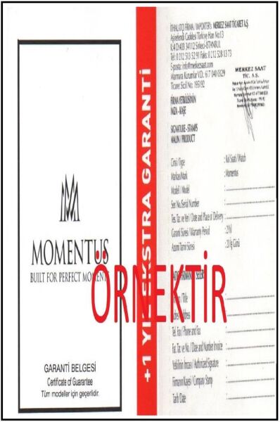 Momentus TC250G-02SG Kadın Kol Saati