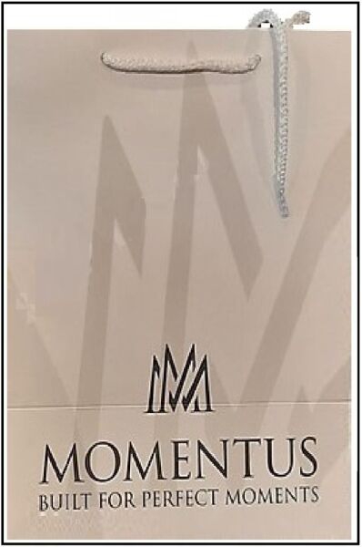 Momentus TC250G-02SG Kadın Kol Saati