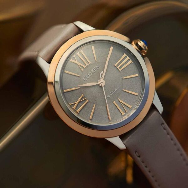 Citizen EM1166-01Z Eco-Drive Kadın Kol Saati