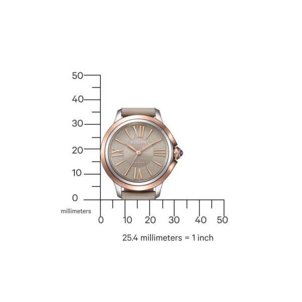 Citizen EM1166-01Z Eco-Drive Kadın Kol Saati