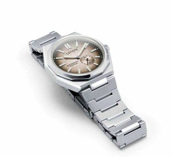 Citizen Zenshin 60 Super Titanium Small Seconds - Copper NK5020-58P Otomatik Erkek Kol Saati