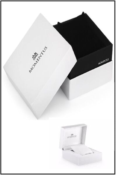 Momentus SC223S-05SM Erkek Kol Saati