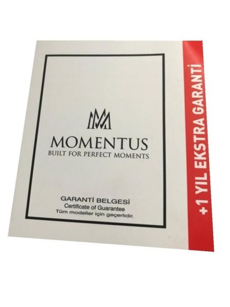 Momentus CC102S-04SS Erkek Kol Saati