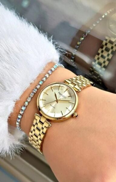 Ferrucci FC 0725 03590M.03 Bileklik Hediyeli Kadın Kol Saati