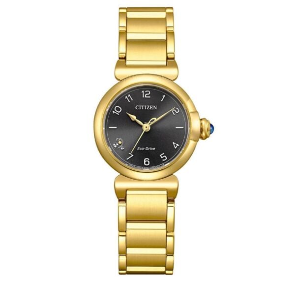 Citizen EM1132-88H Eco-Drive Kadın Kol Saati