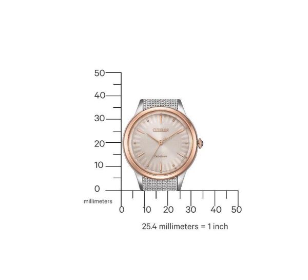 Citizen EM1156-80X Eco-Drive Kadın Kol Saati