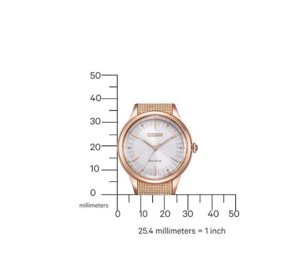 Citizen EM1153-88A Eco-Drive Kadın Kol Saati