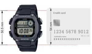 Casio DW-291HX-1AVDF Erkek Kol Saati