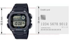 Casio DW-291HX-1AVDF Erkek Kol Saati