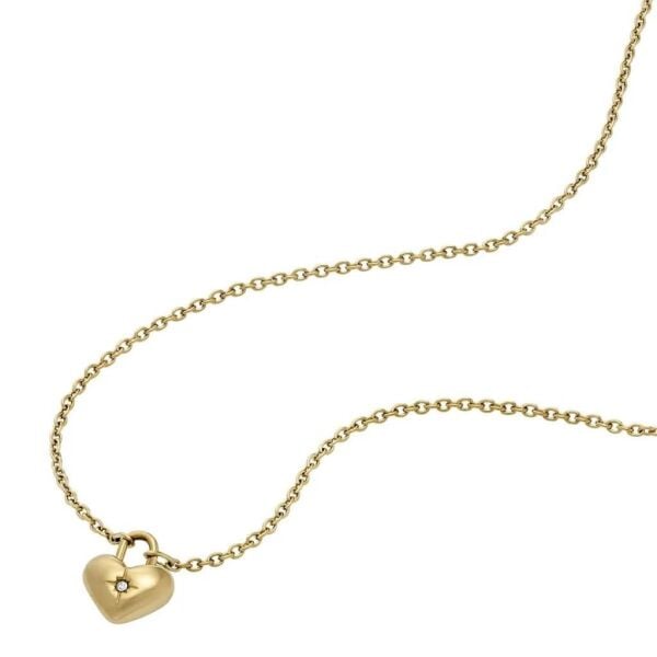 Fossil JF04881SET Kalpli Kadın Kolye ve Küpe Seti