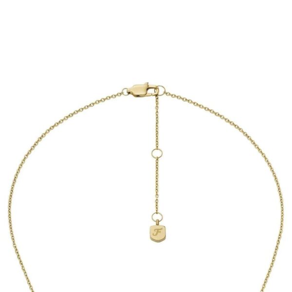 Fossil JF04881SET Kalpli Kadın Kolye ve Küpe Seti