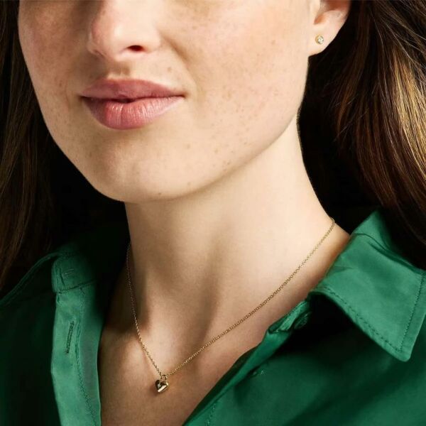 Fossil JF04881SET Kalpli Kadın Kolye ve Küpe Seti