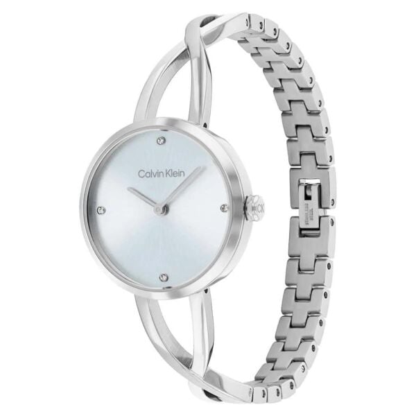 Calvin Klein CK25100058 Kadın Kol Saati