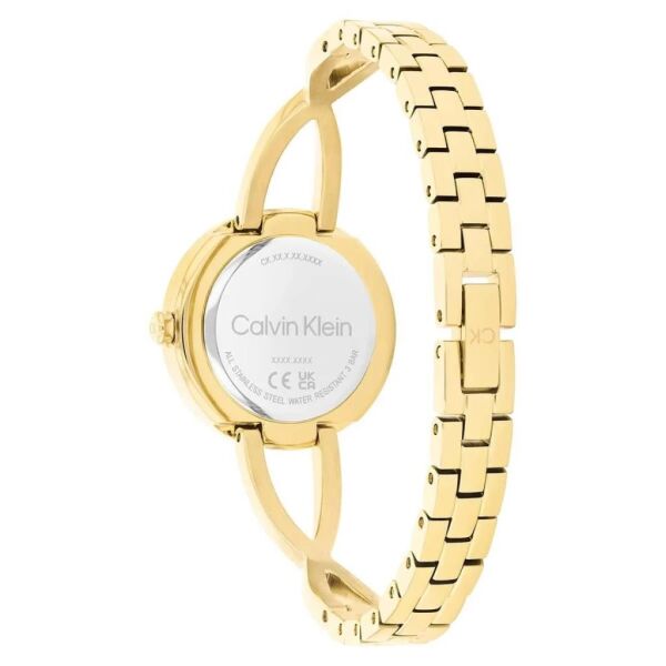 Calvin Klein CK25100059 Kadın Kol Saati
