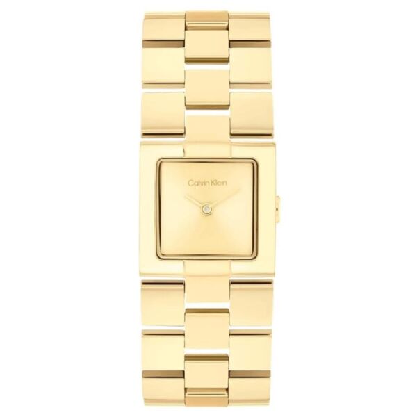 Calvin Klein CK25100089 Kadın Kol Saati