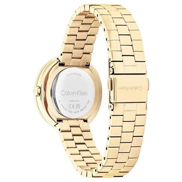 Calvin Klein CK25100094 Kadın Kol Saati