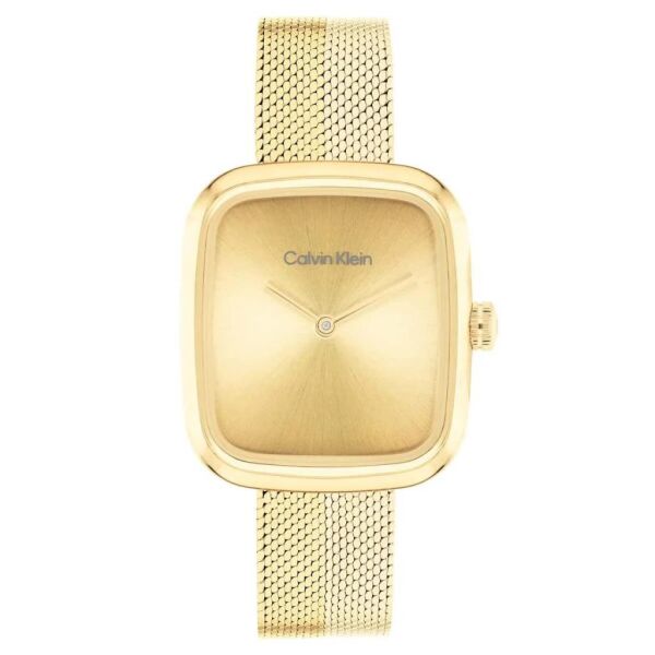 Calvin Klein CK25100099 Kadın Kol Saati