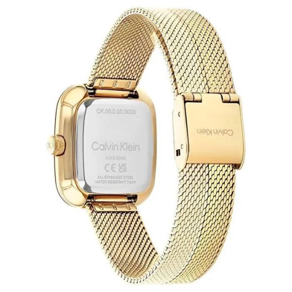 Calvin Klein CK25100099 Kadın Kol Saati