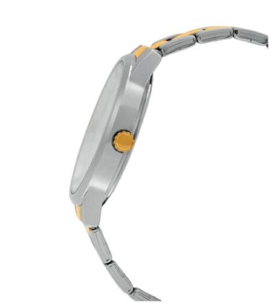 Casio Standart MTP-1303SG-7AVDF Erkek Kol Saati