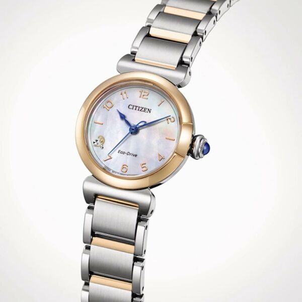 Citizen EM1136-87D Kadın Kol Saati