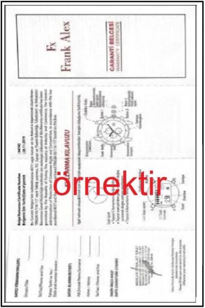 Frank Alex FA.0622 12917S.03 Erkek Kol Saati