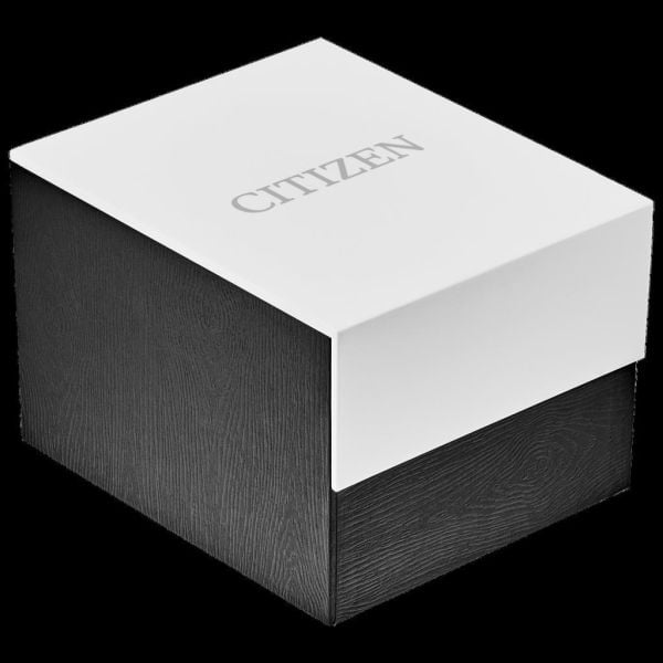 Citizen Tsuyosa Small Second NK5010-51X Otomatik Erkek Kol Saati