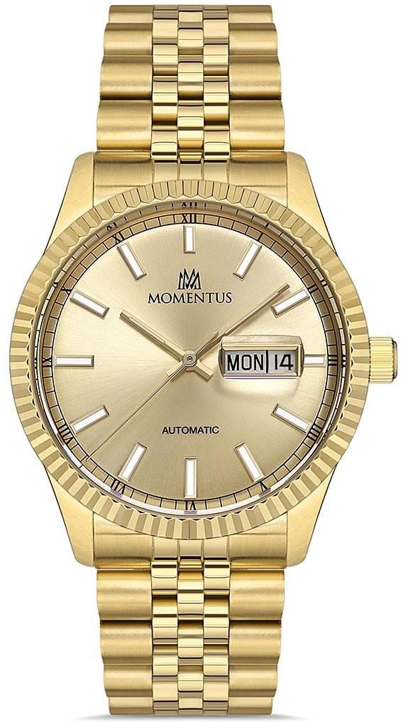 Momentus Time Masters TM347G-08SG Erkek Kol Saati