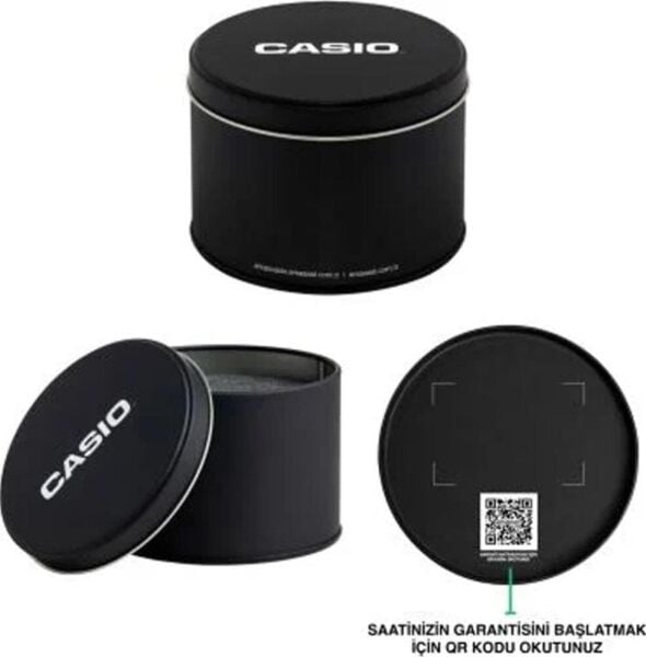 Casio LTP-V006L-7B2UDF Kadın Kol Saati