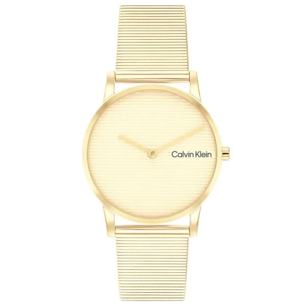 Calvin Klein CK25100035 Kadın Kol Saati
