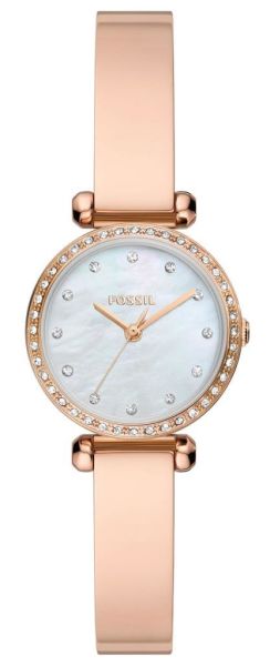 Fossil FBQ3894 Kadın Kol Saati