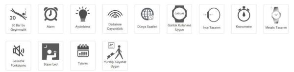 Casio GM-S2110B-8ADR Kadın Kol Saati