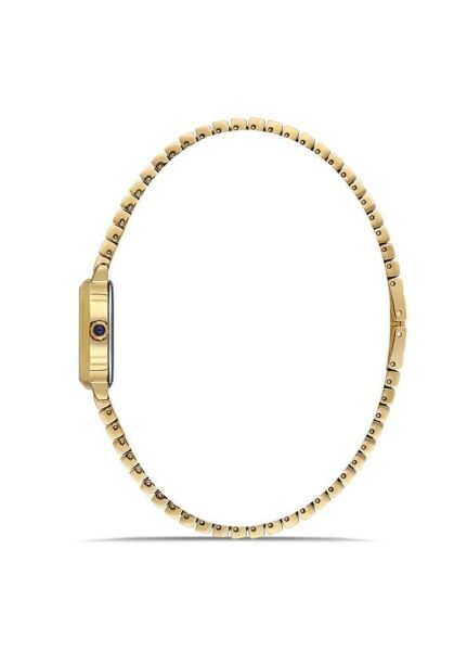 Momentus CW318G-02SG Kadın Kol Saati