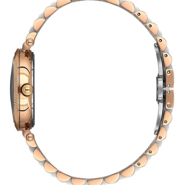 Essence ES6913FE.520 Kadın Kol Saati
