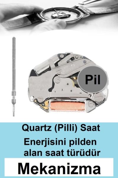 Freelook FL.1.10399.1 Fonksiyonlu Kadın Kol Saati