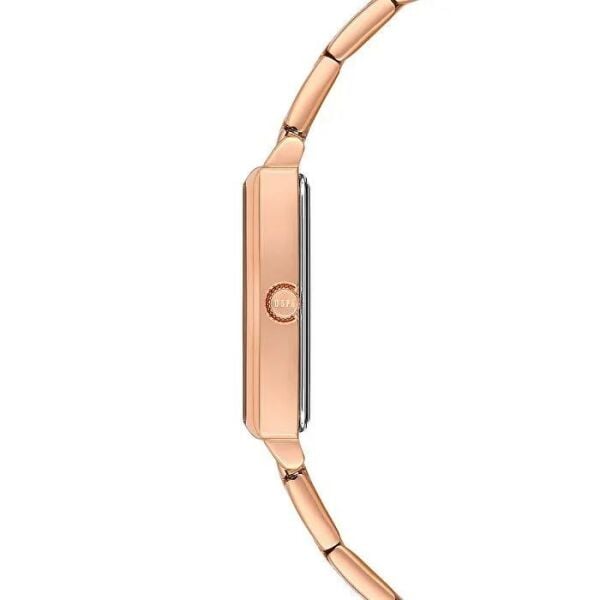 U.S. Polo Assn. USPA2084-03 Kadın Kol Saati