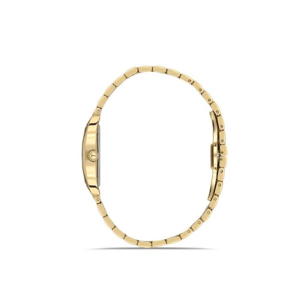 Momentus CW310G-15SG Kadın Kol Saati