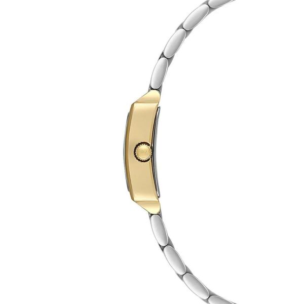 U.S. Polo Assn. USPA2107-02 Kadın Kol Saati