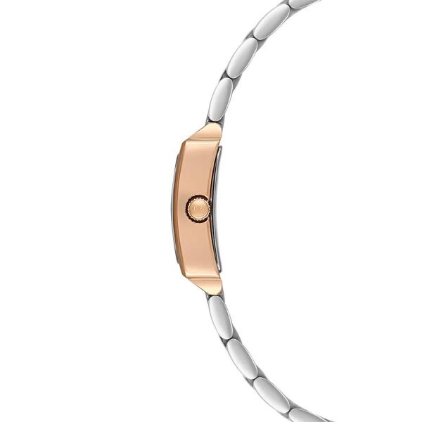 U.S. Polo Assn. USPA2107-03 Kadın Kol Saati