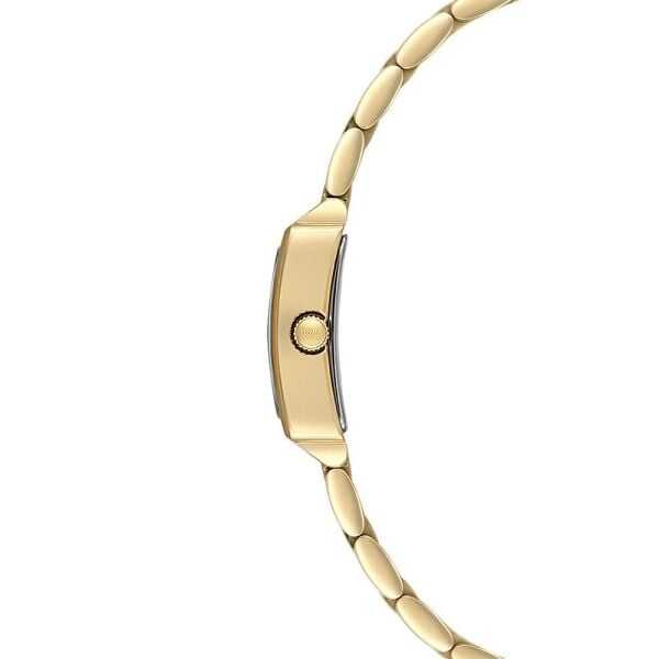 U.S. Polo Assn. USPA2107-04 Kadın Kol Saati