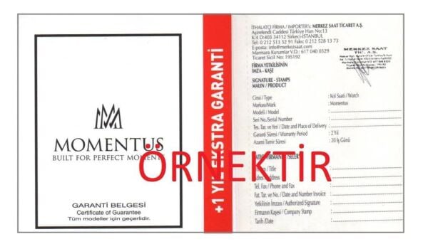 Momentus CC292R-02SR Erkek Kol Saati