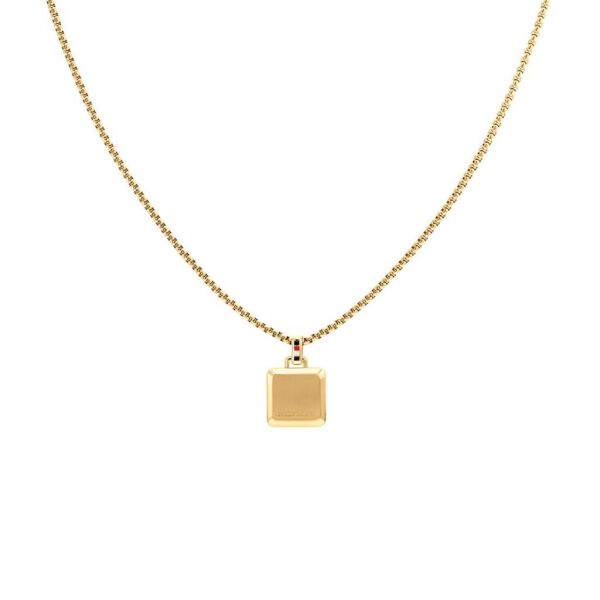 Tommy Hilfiger THJ2790544 Erkek Kolye