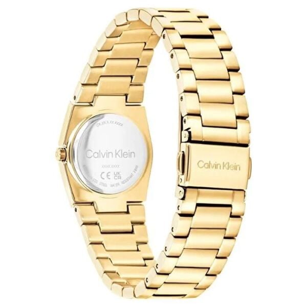 Calvin Klein CK25100122 Kadın Kol Saati